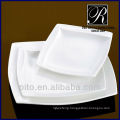 kitchen porcelain rectangular plate